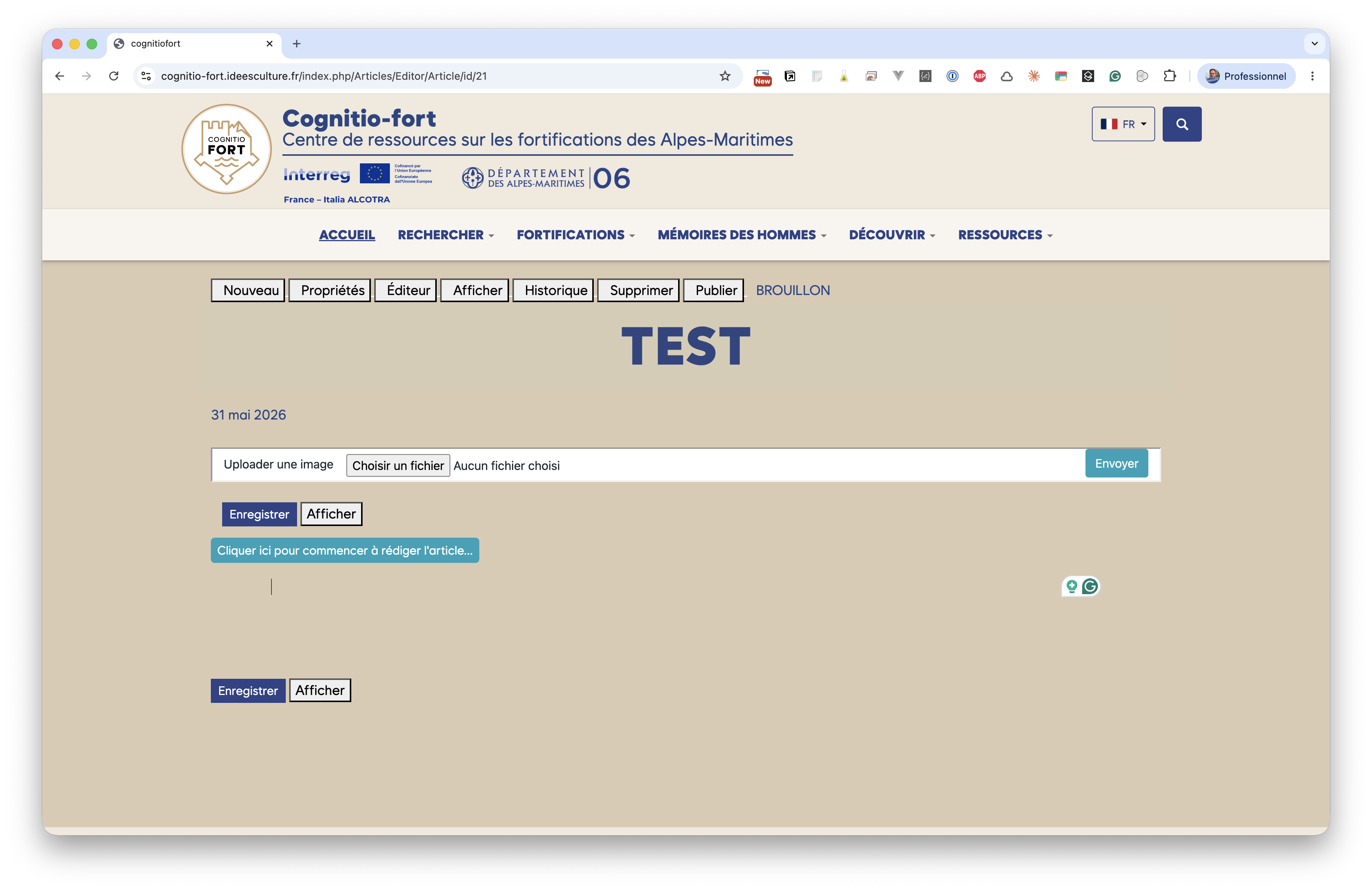 Nouvel article vide à l'état brouillon