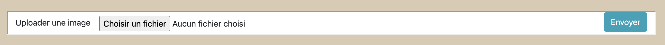 Encart d'upload d'image